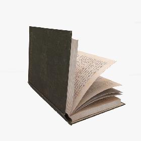 3D Rigged Book